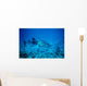 whale shark approaching Wall Mural