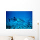 whale shark approaching Wall Mural