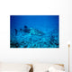 whale shark approaching Wall Mural