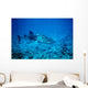 whale shark approaching Wall Mural