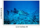 whale shark approaching Wall Mural