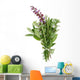 fresh herbs - rosemary, sage, oregano Wall Decal