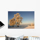 Frost Baum Wall Mural