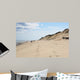 Broad Beach Cape Cod Wall Mural