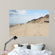 Broad Beach Cape Cod Wall Mural