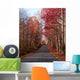 Autumn Road Wall Decal