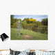 Frisbee Golf With Disc Wall Mural