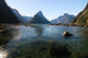 Milford Sound New Zealand Wall Mural