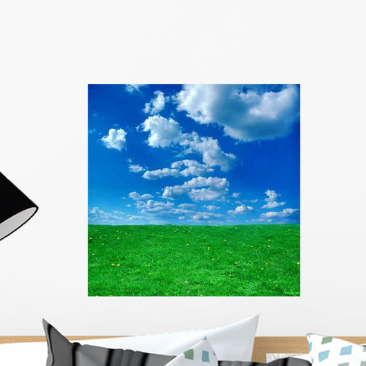 Green Field and Blue Wall Decal Design 2