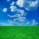Green Field and Blue Wall Decal Design 2