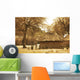 African huts Wall Mural