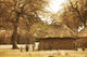 African huts Wall Mural