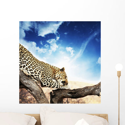 Leopard Wall Mural shown on a wall