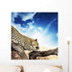Leopard Wall Mural