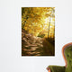 Autumn Park Road