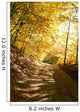 Autumn Park Road