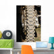 Motocross Wall Mural