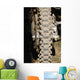 Motocross Wall Mural