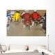 Motocross Wall Mural