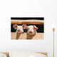 Piglets on a Farm Wall Mural