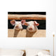 Piglets on a Farm Wall Mural