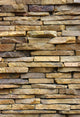 Stone Wall Mural