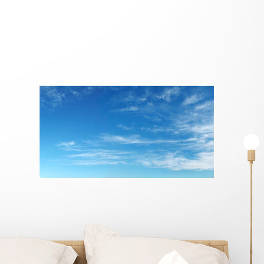 Sky Panorama Wall Mural