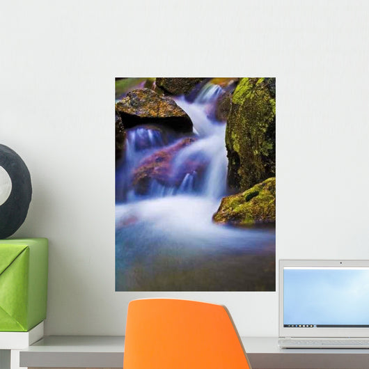 Fantasy Stream Wall Decal