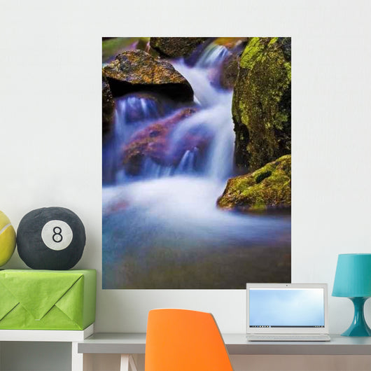 Fantasy Stream Wall Decal