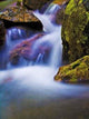 Fantasy Stream Wall Decal