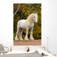 White Shire Draft Horse