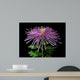 Chrysanthemum Morifolium Wall Mural