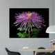 Chrysanthemum Morifolium Wall Mural