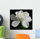 Gardenia jasminoides Wall Mural