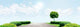 Green Tree Blue Sky Wall Decal