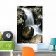 Rock Falls Wall Mural
