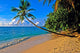 Plage Praslin Aux Seychelles