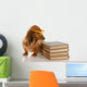 Dachshund Sitting Beside Stack of Books Wall Decal