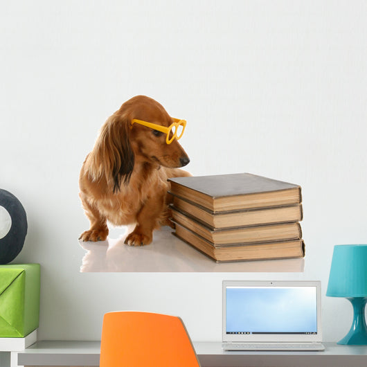 Dachshund Sitting Beside Stack of Books Wall Decal