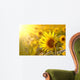 Sunflower on a meadow in the light of the setting sun Wall Mural