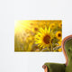 Sunflower on a meadow in the light of the setting sun Wall Mural