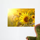 Sunflower on a meadow in the light of the setting sun Wall Mural