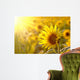 Sunflower on a meadow in the light of the setting sun Wall Mural