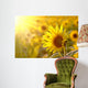 Sunflower on a meadow in the light of the setting sun Wall Mural