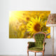 Sunflower on a meadow in the light of the setting sun Wall Mural