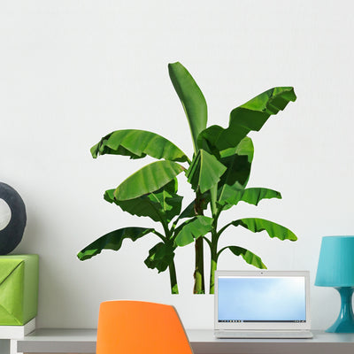 Banana Tree Wall Decal shown on a wall
