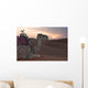 Dromedario Nel Deserto Al Wall Mural