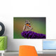 Distelfalter Wall Mural