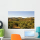 Olivares Wall Decal