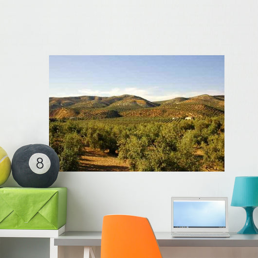 Olivares Wall Decal
